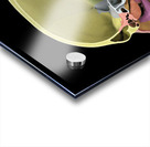768 Acrylic print