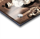 920 Acrylic print