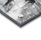 1013 Acrylic print