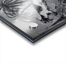 1060 Acrylic print