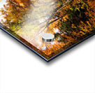 2430 Acrylic print