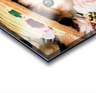 2650 Acrylic print