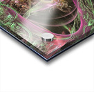 3240 Acrylic print