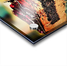3436 Acrylic print
