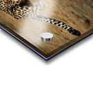 3460 Acrylic print