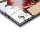 3585 Acrylic print