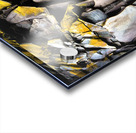 3740 Acrylic print