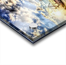 3747 Acrylic print