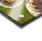 3999 Acrylic print