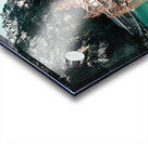 4080 Acrylic print