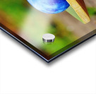 4276 Acrylic print