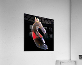 003 Acrylic Print