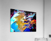 011 Acrylic Print