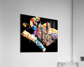 006 Acrylic Print