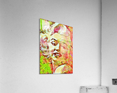 017 Acrylic Print