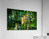 070 Acrylic Print