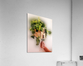099 Acrylic Print