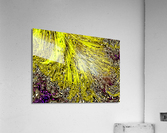 106 Acrylic Print