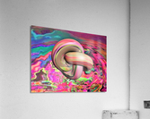 107 Acrylic Print