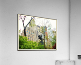 118 Acrylic Print