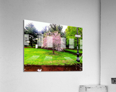 176 Acrylic Print