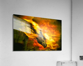 210 Acrylic Print