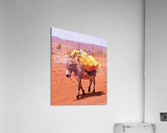 223 Acrylic Print