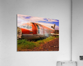 225 Acrylic Print