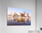 227 Acrylic Print