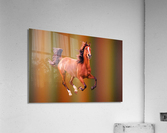228 Acrylic Print
