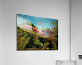 231 Acrylic Print