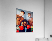 232 Acrylic Print
