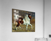 233 Acrylic Print