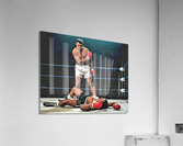236 Acrylic Print