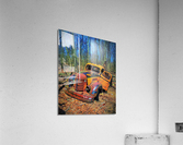 243 Acrylic Print