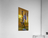 244 Acrylic Print