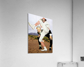250 Acrylic Print