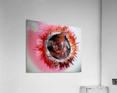 266 Acrylic Print