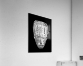 283 Acrylic Print