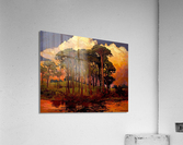 287 Acrylic Print