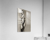 290 Acrylic Print