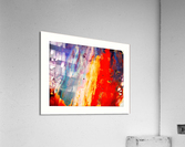 292 Acrylic Print