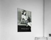 295 Acrylic Print