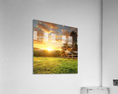 329 Acrylic Print
