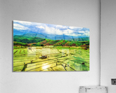 337 Acrylic Print