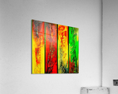 344 Acrylic Print