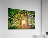 347 Acrylic Print
