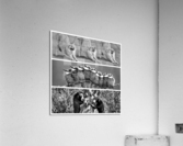 368 Acrylic Print