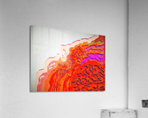 377 Acrylic Print
