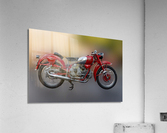393 Acrylic Print
